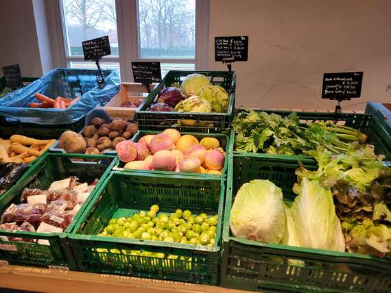 20251206_100317 -  - Hoevewinkel