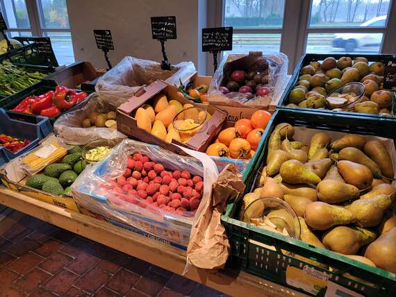 20251206_100309 -  - Hoevewinkel